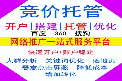 行业领先企业如何通过SEM推广代运营提升业绩